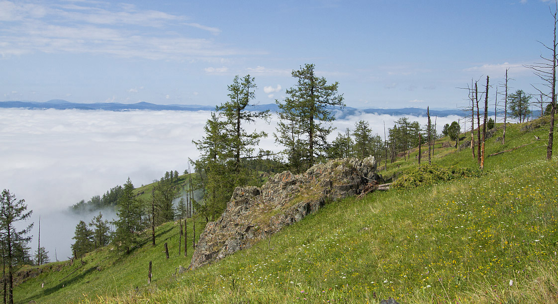 Семинский перевал, image of landscape/habitat.