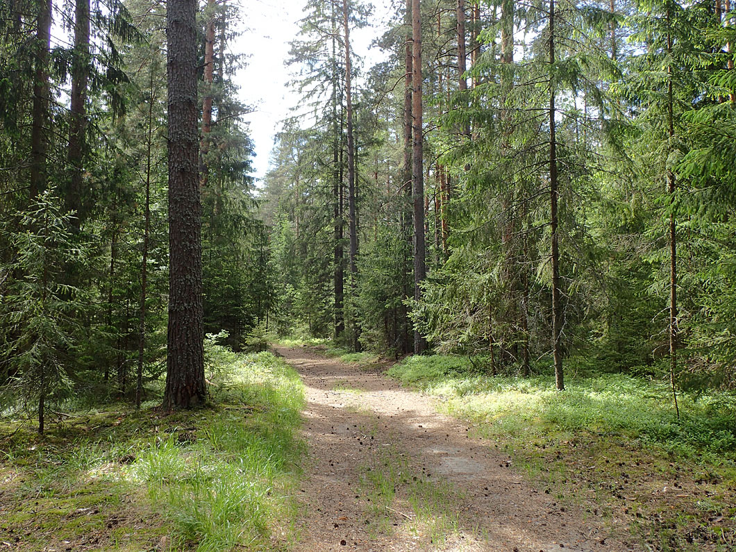 Ларцево, image of landscape/habitat.
