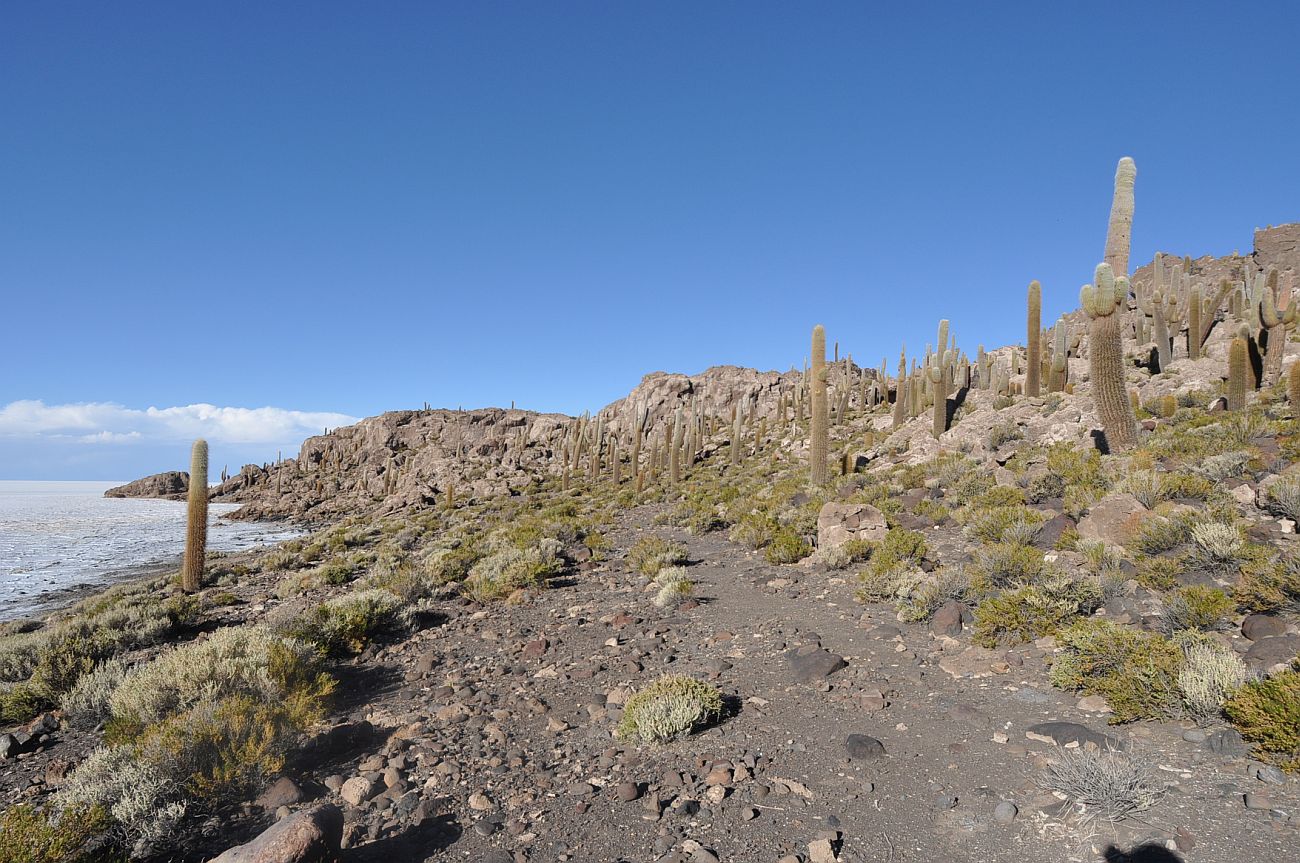 Остров Пескадо, image of landscape/habitat.