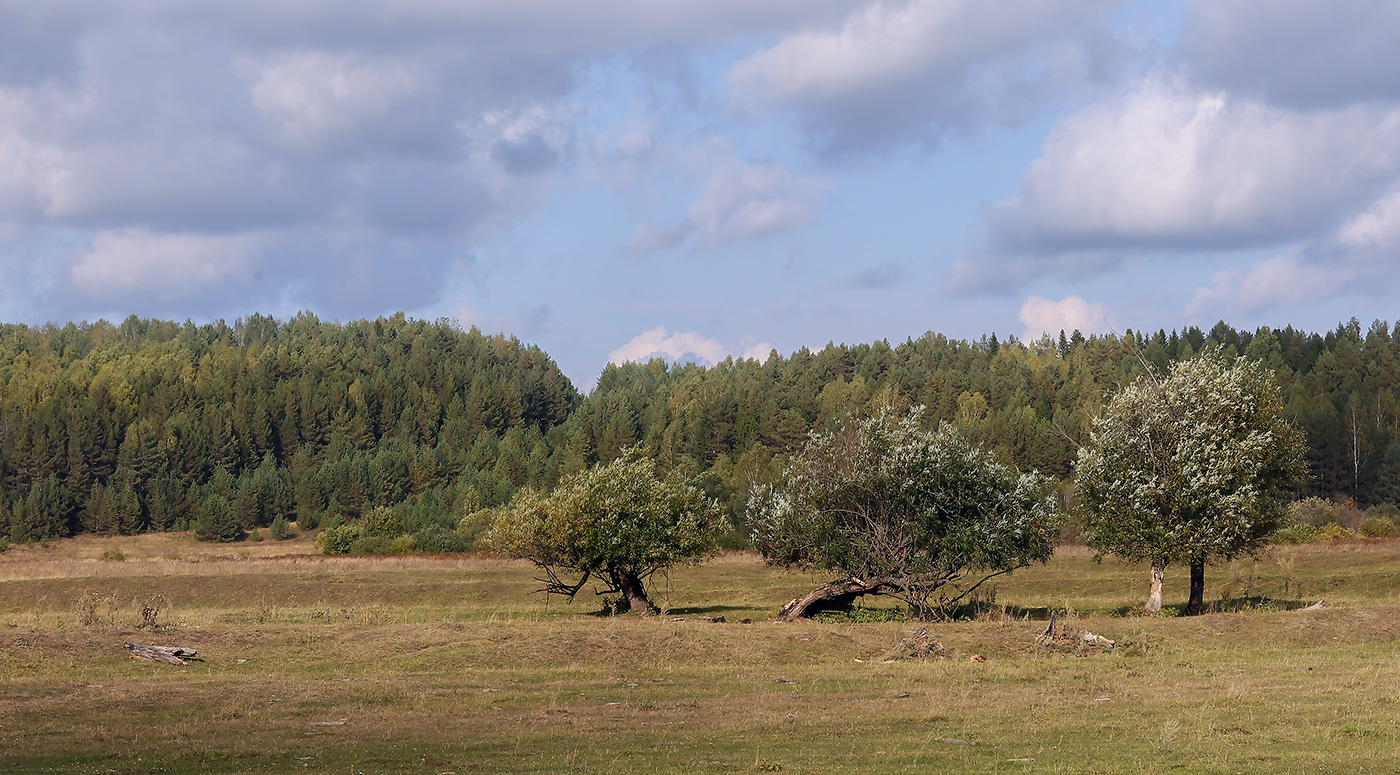 Галешник, image of landscape/habitat.