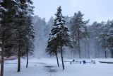 Изображение ландшафта