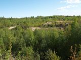 Image of landscape