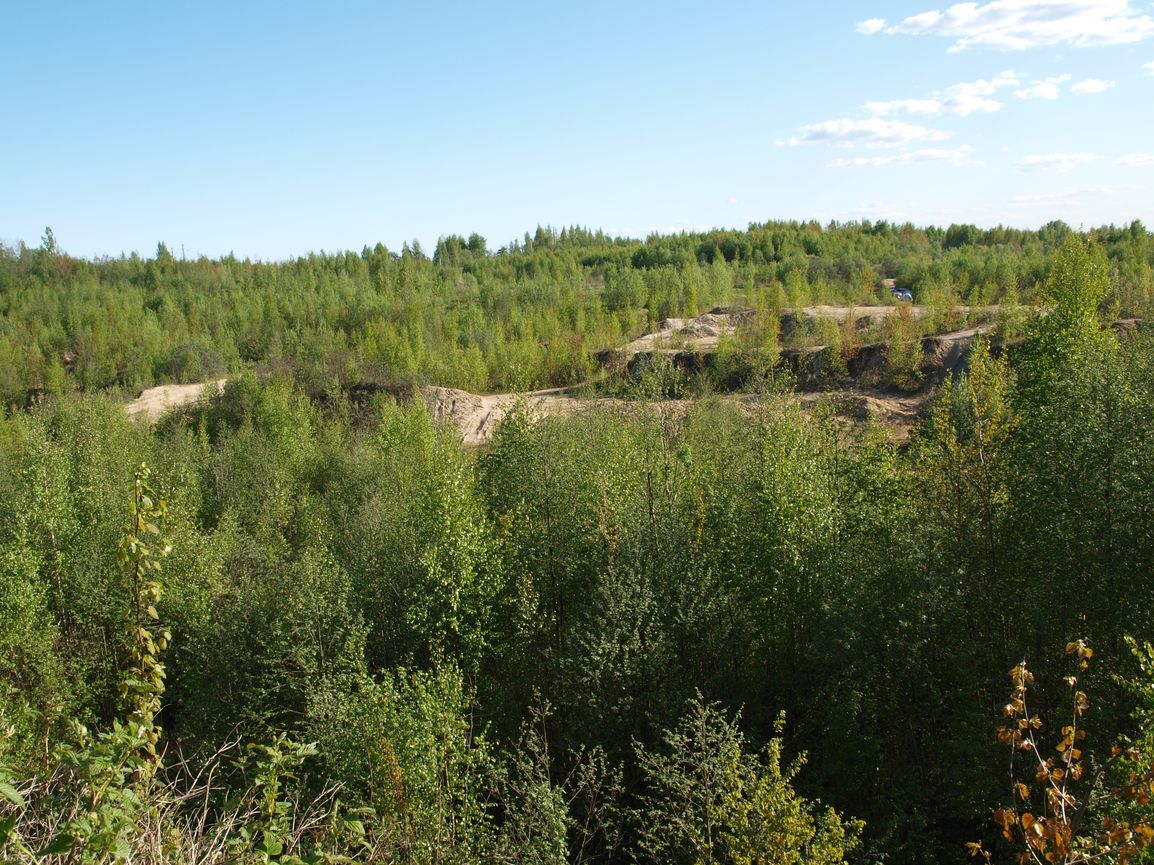 Песчаные карьеры у Разметелево, image of landscape/habitat.