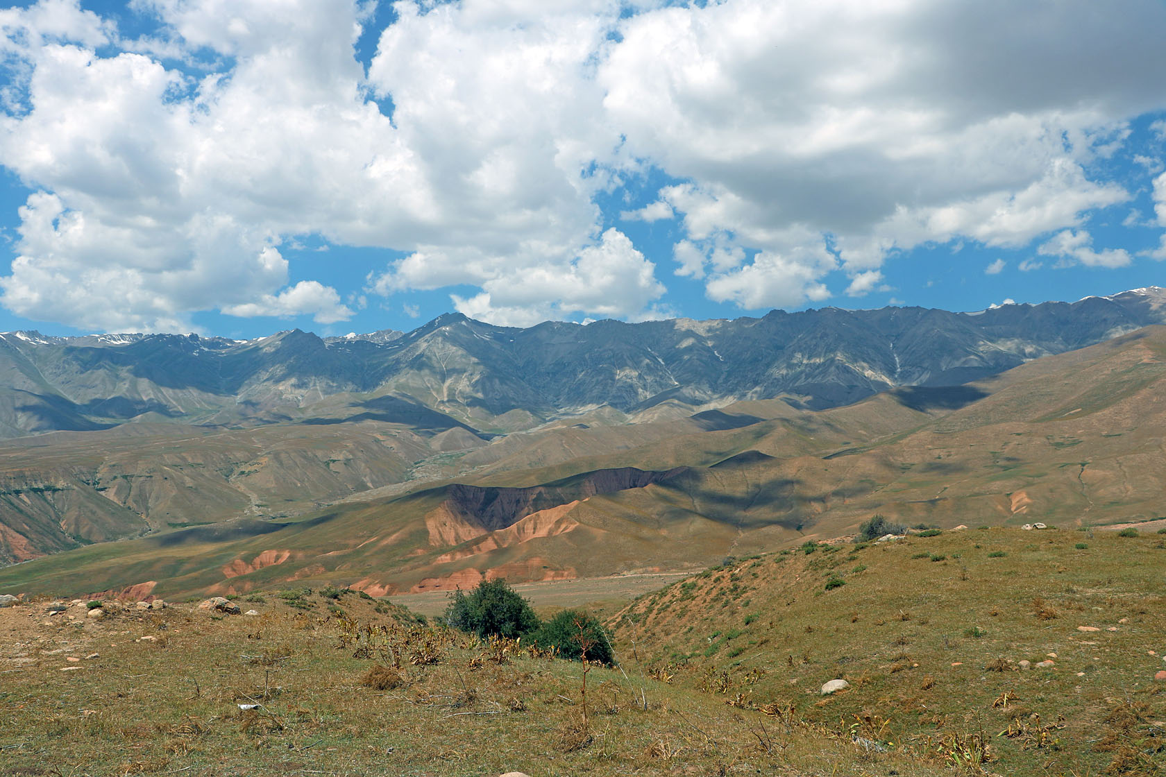 Арашан, image of landscape/habitat.