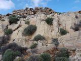Image of landscape