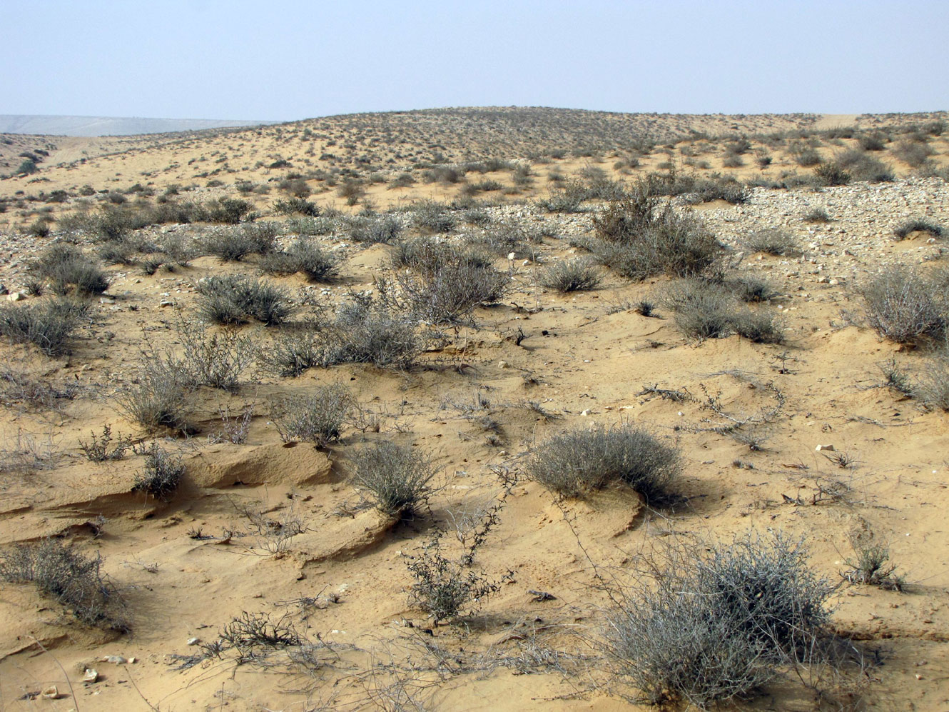 Пески Халуца (Холёт Халюца), изображение ландшафта.