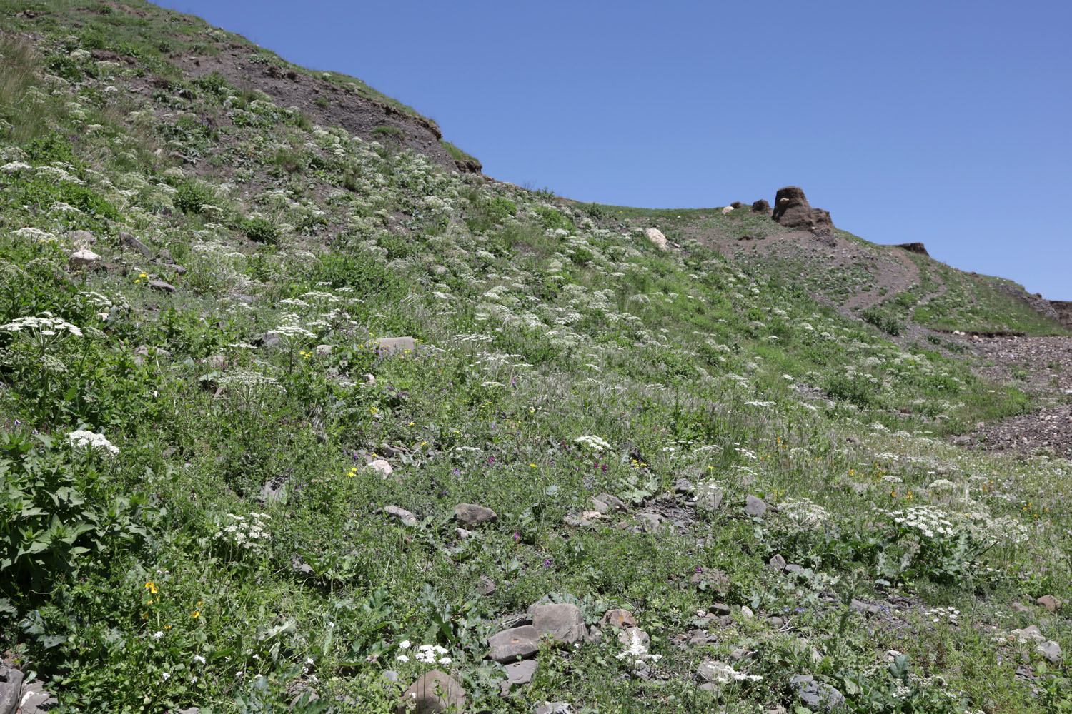 Куруш, image of landscape/habitat.