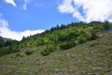 Image of landscape