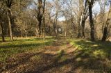 Гулькевичи и окрестности, image of landscape/habitat.
