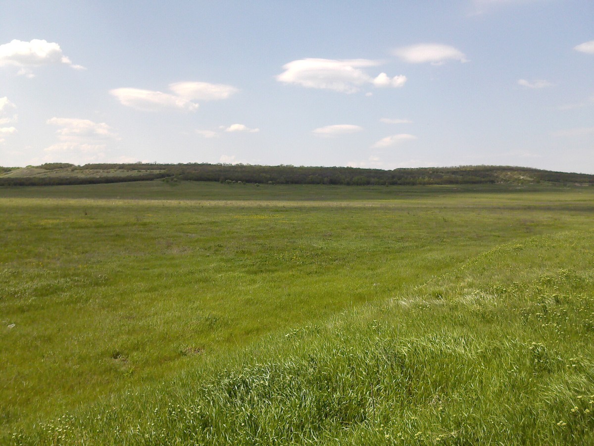 Новосветловка, image of landscape/habitat.