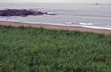 Image of landscape