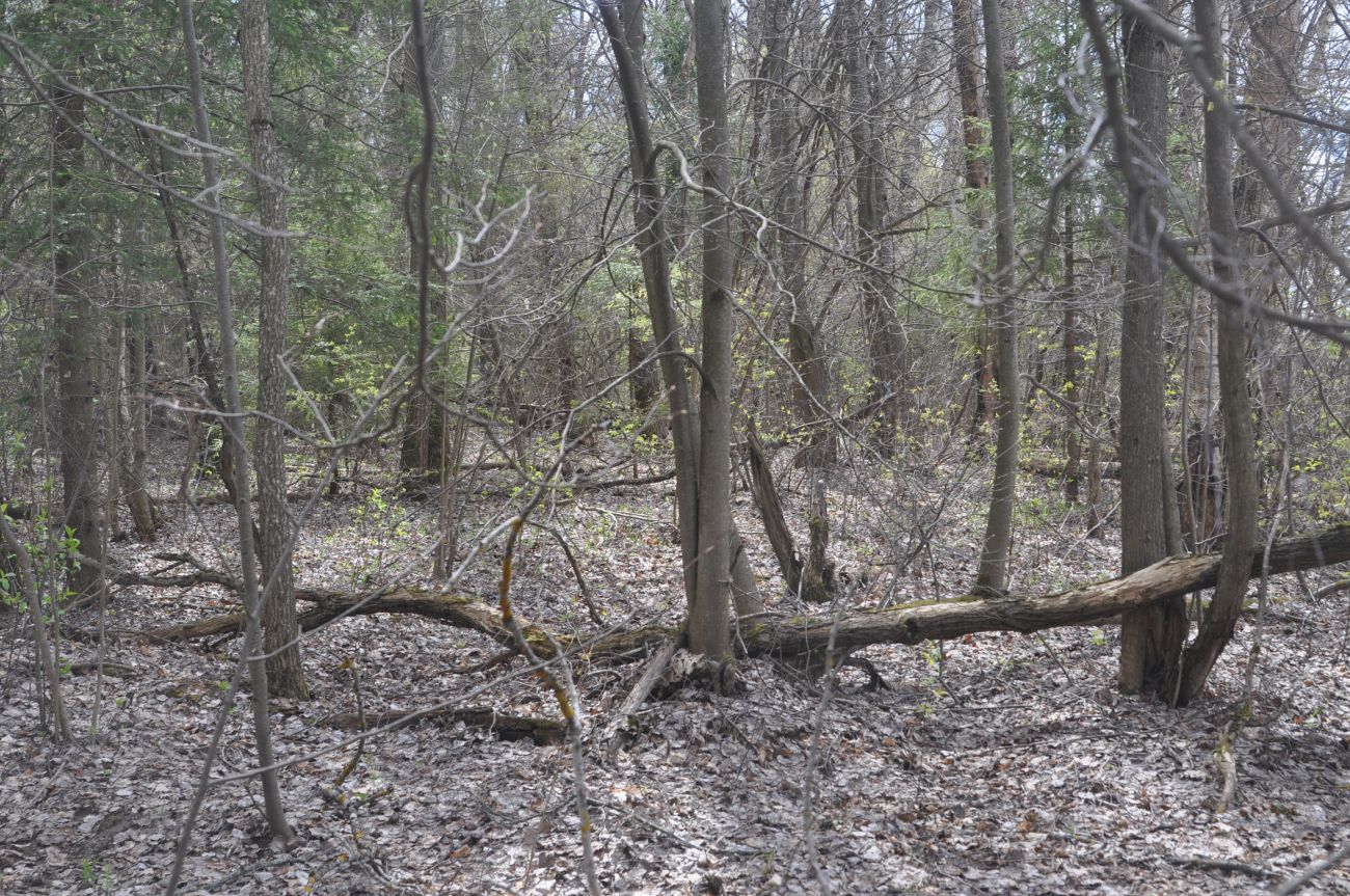 Окрестности деревни Чёлохово, image of landscape/habitat.