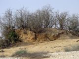 Image of landscape