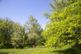 Image of landscape