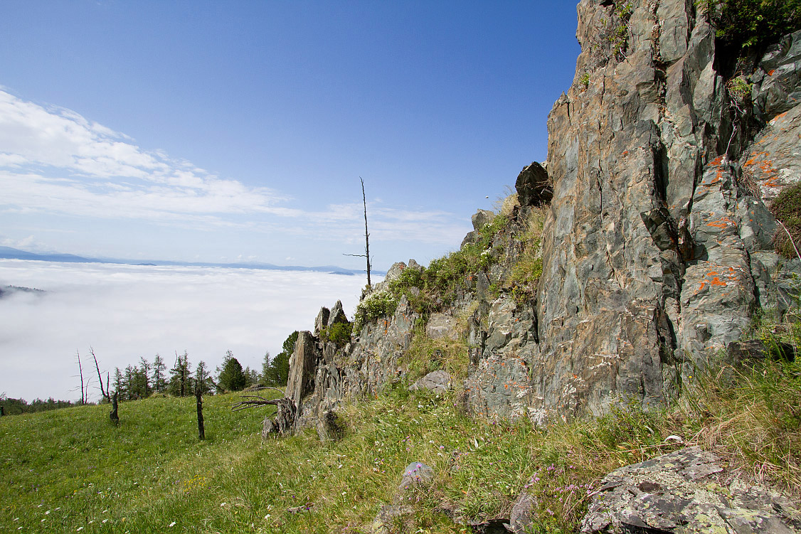 Семинский перевал, image of landscape/habitat.