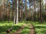 Ларцево, image of landscape/habitat.