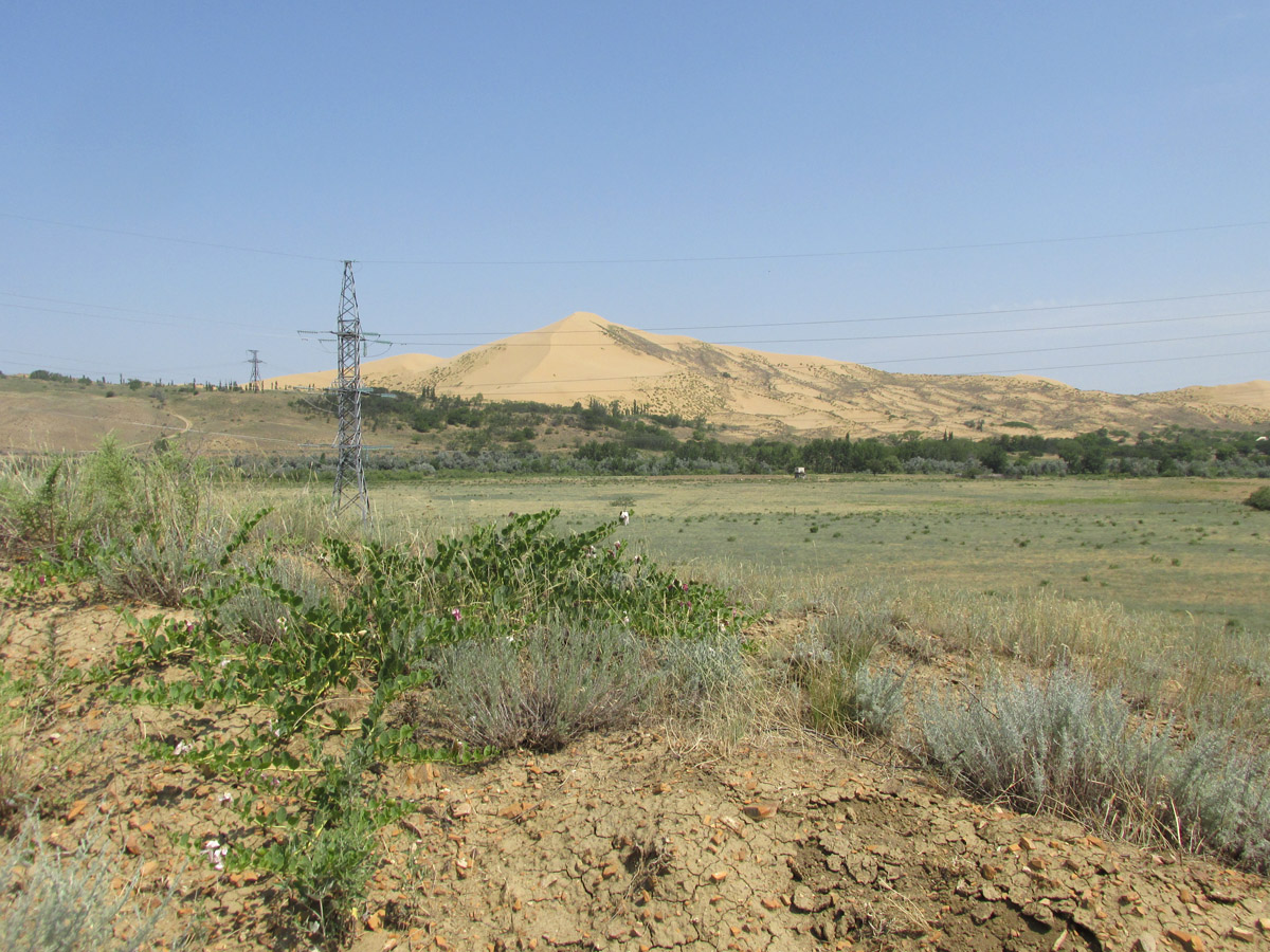 Долина реки Шураозень, image of landscape/habitat.