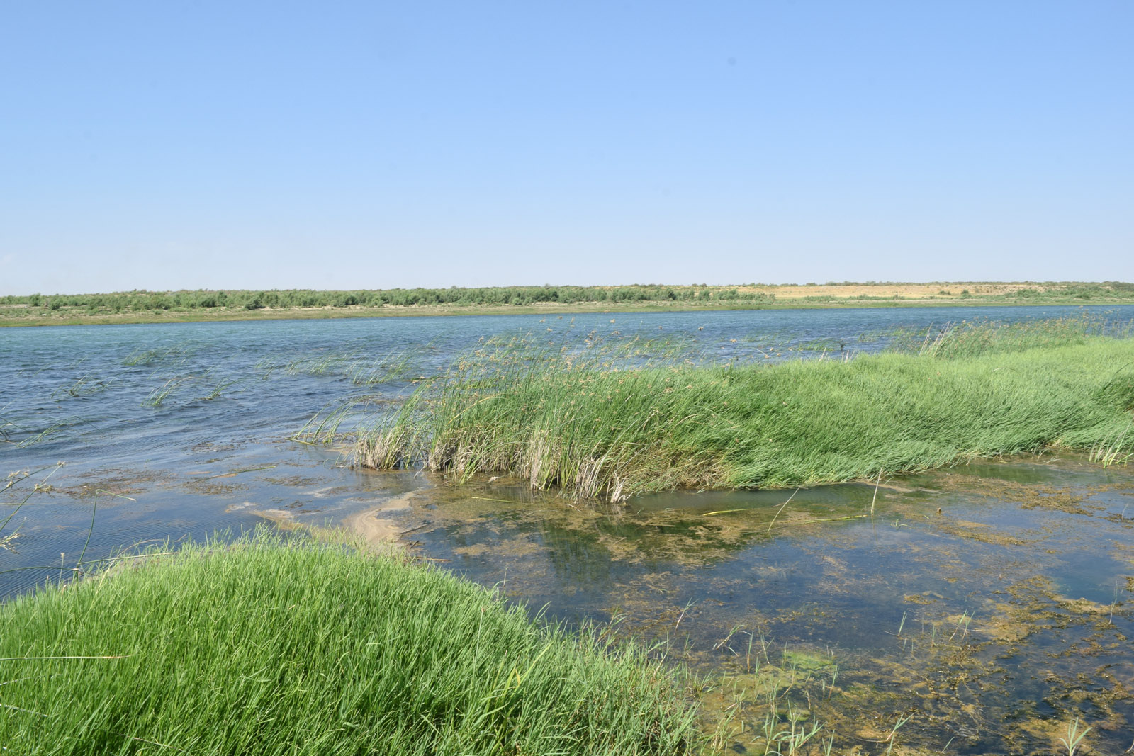 Окрестности кишлака Янги-Хаят, image of landscape/habitat.