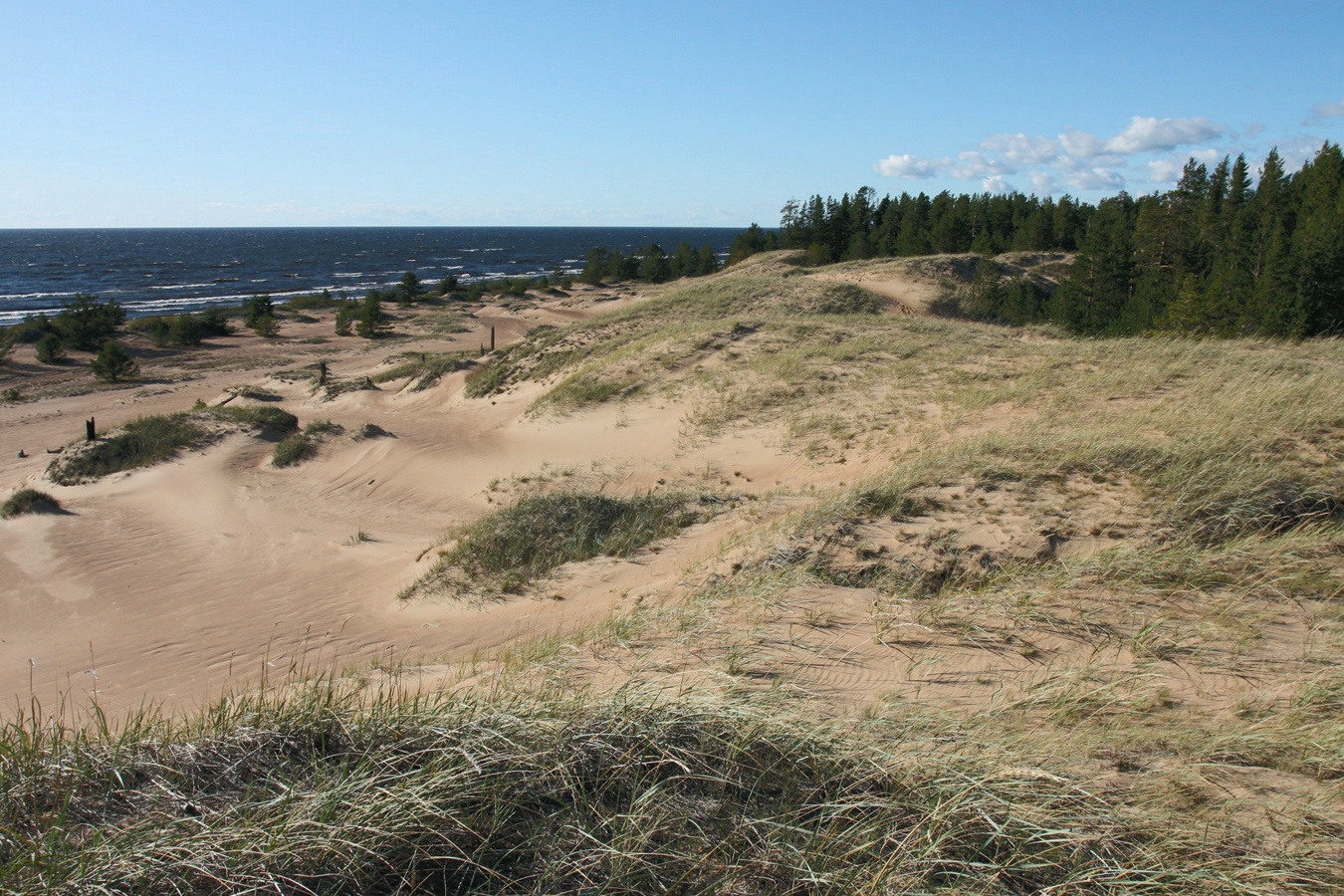 Устье Тулоксы, image of landscape/habitat.