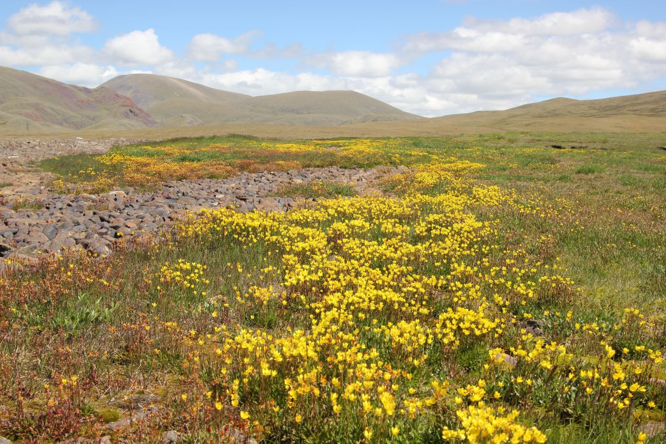 Окрестности стоянки Аргамджи, image of landscape/habitat.