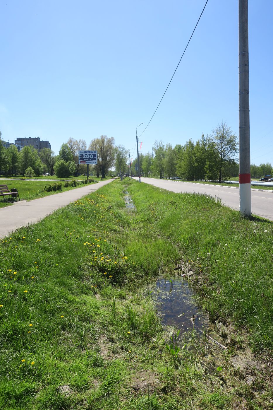 Электрогорск и его окрестности, изображение ландшафта.