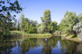 Image of landscape
