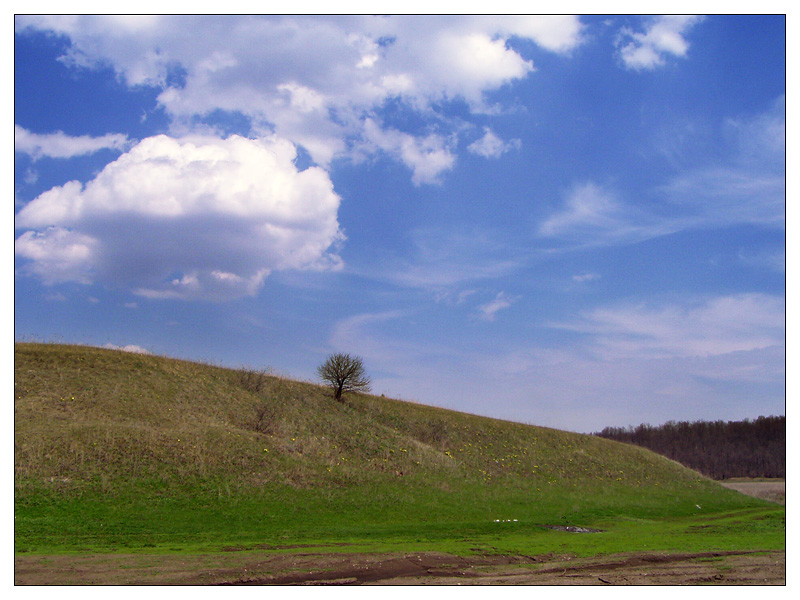 Кликовка, image of landscape/habitat.