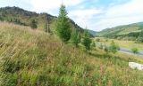 Image of landscape