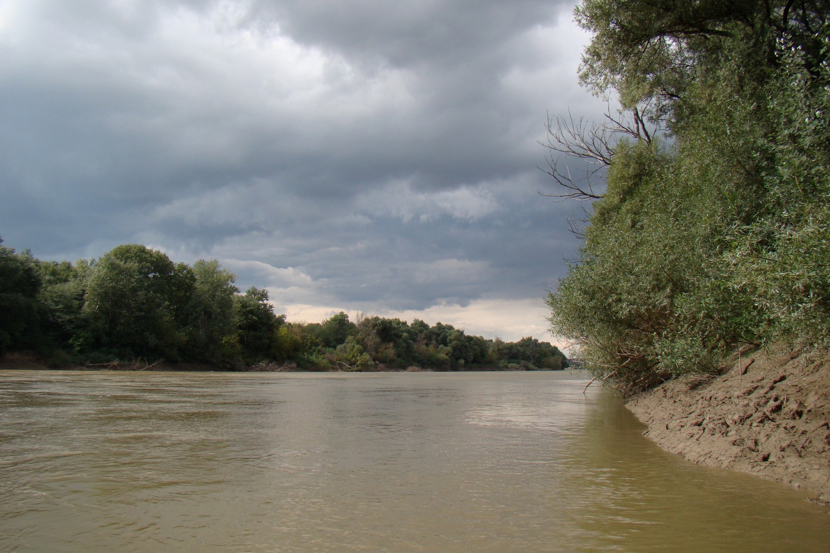 Берег Кубани в Усть-Лабинске, image of landscape/habitat.