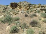 Image of landscape