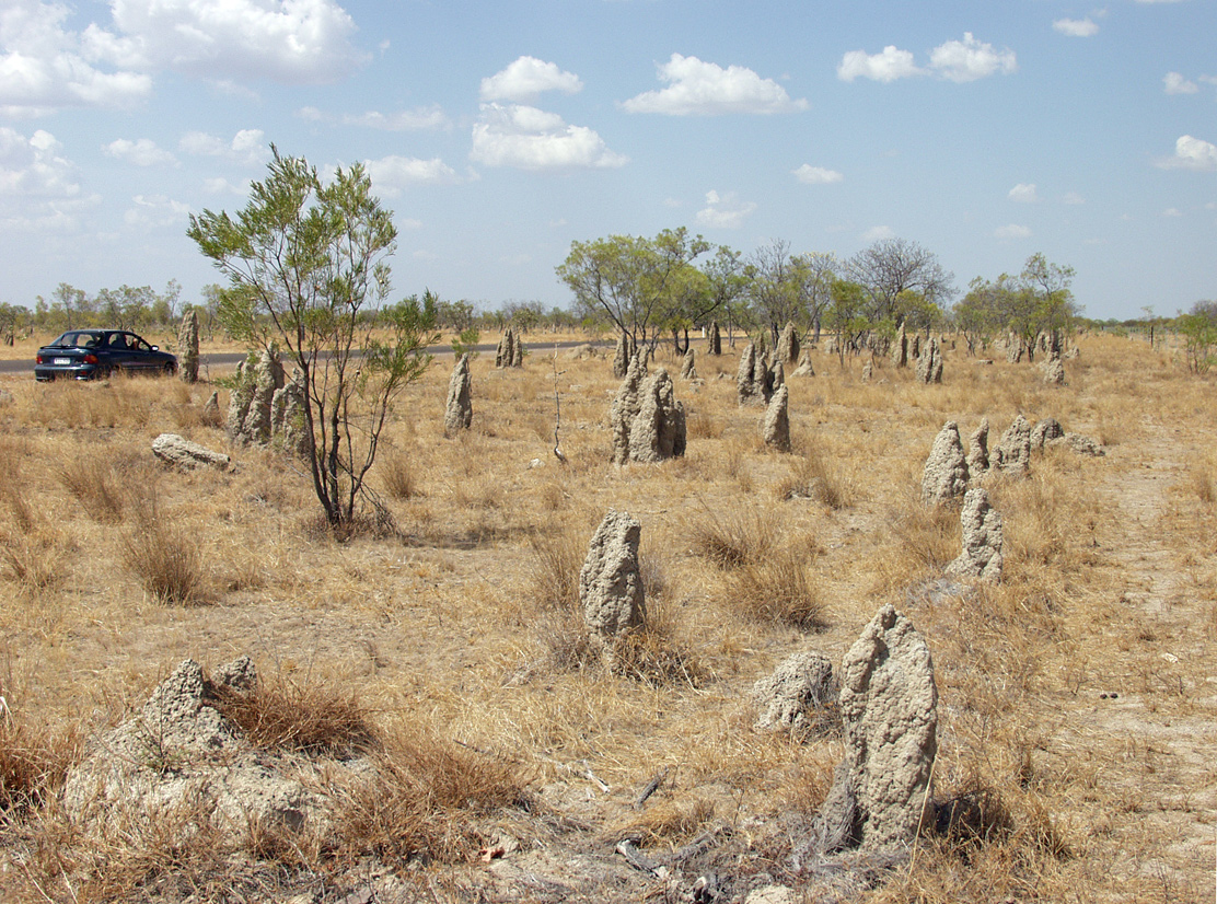 Karumba и окрестности, image of landscape/habitat.