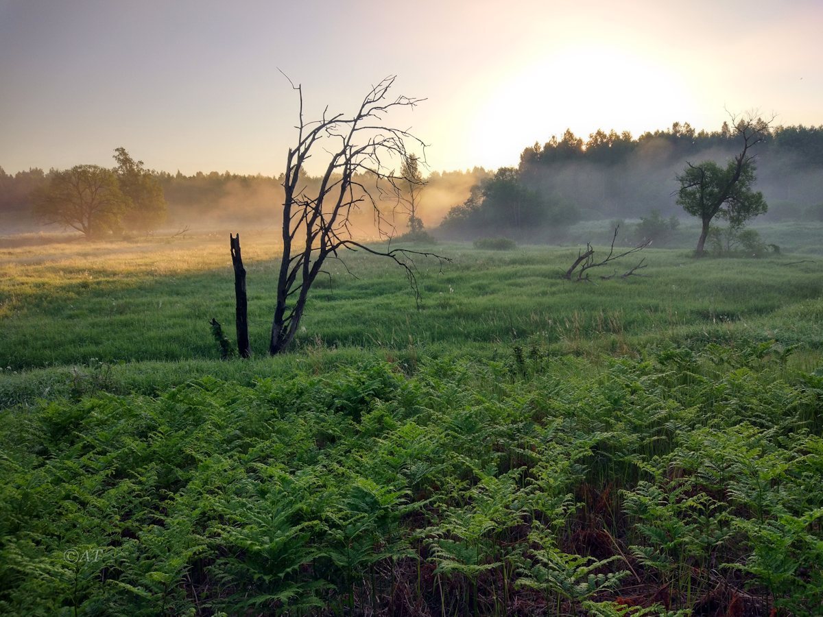 Клец, image of landscape/habitat.