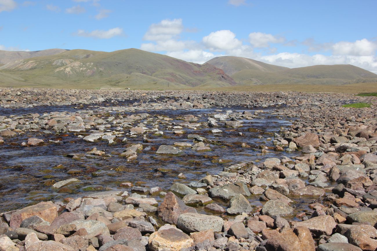 Окрестности стоянки Аргамджи, image of landscape/habitat.