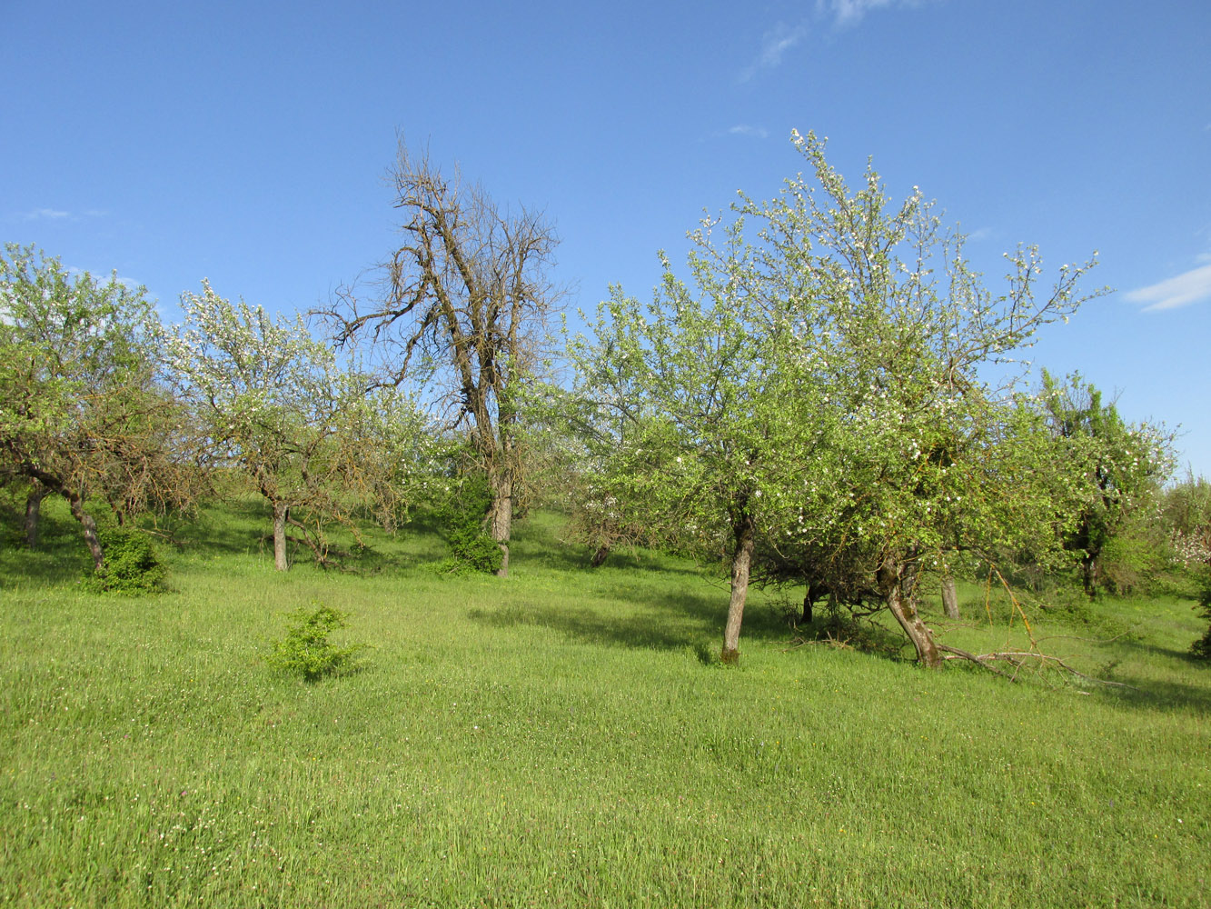 Окрестности села Татиль, image of landscape/habitat.