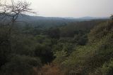 Национальный парк "Гирский лес", image of landscape/habitat.