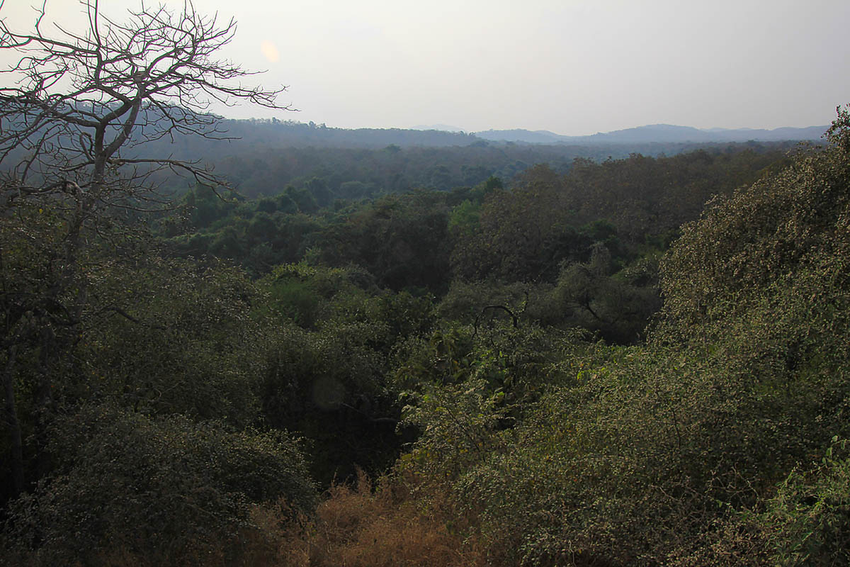 Национальный парк "Гирский лес", image of landscape/habitat.