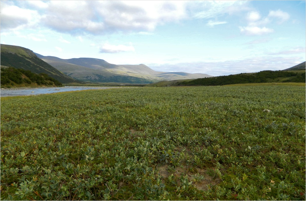 Большой Ханмей, image of landscape/habitat.