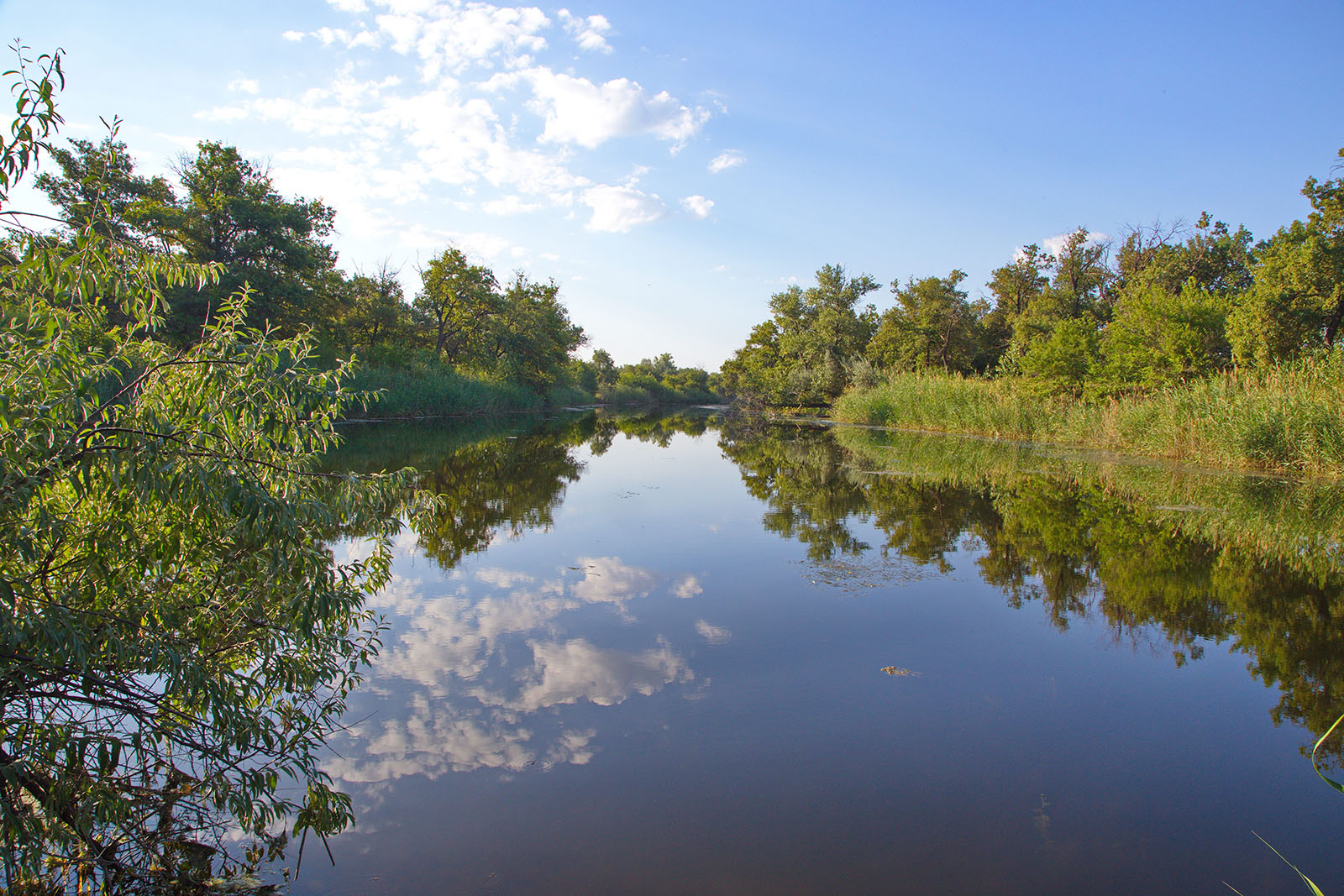ПП "Волго-Ахтубинская пойма", image of landscape/habitat.