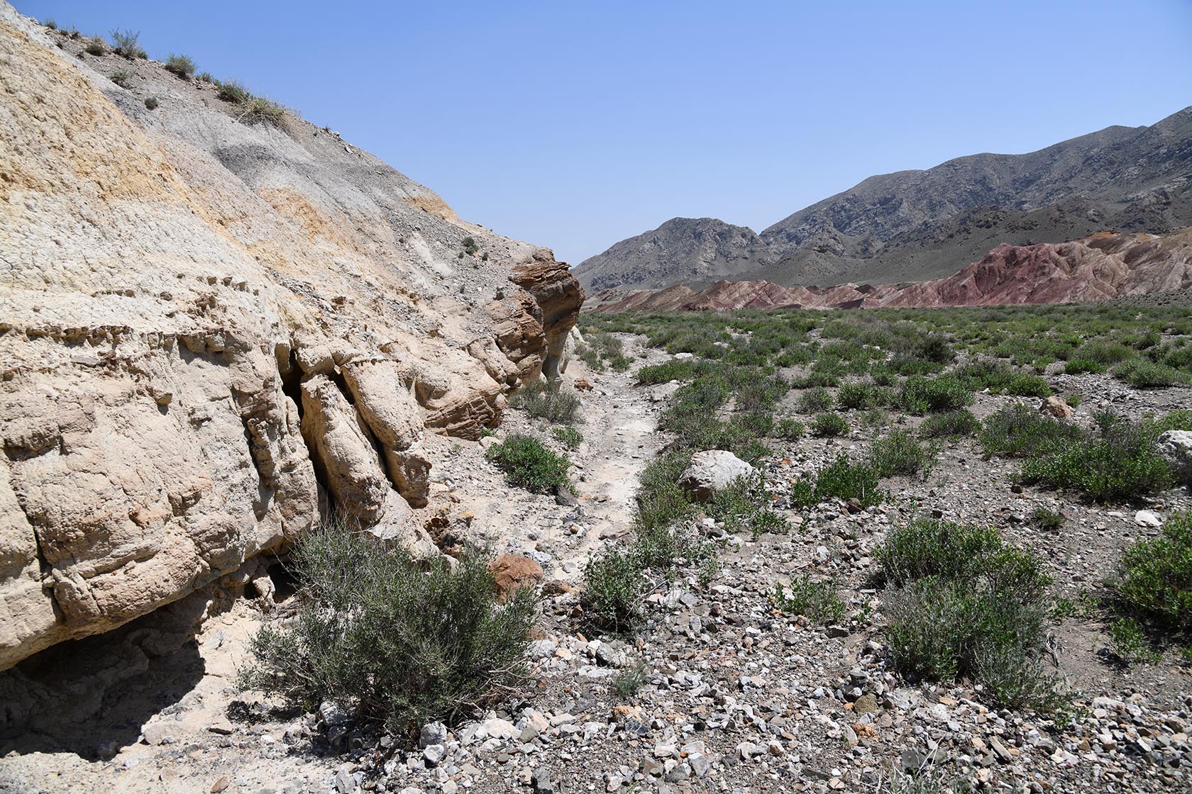 Мадыген, image of landscape/habitat.