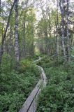 Большой Соловецкий остров, image of landscape/habitat.