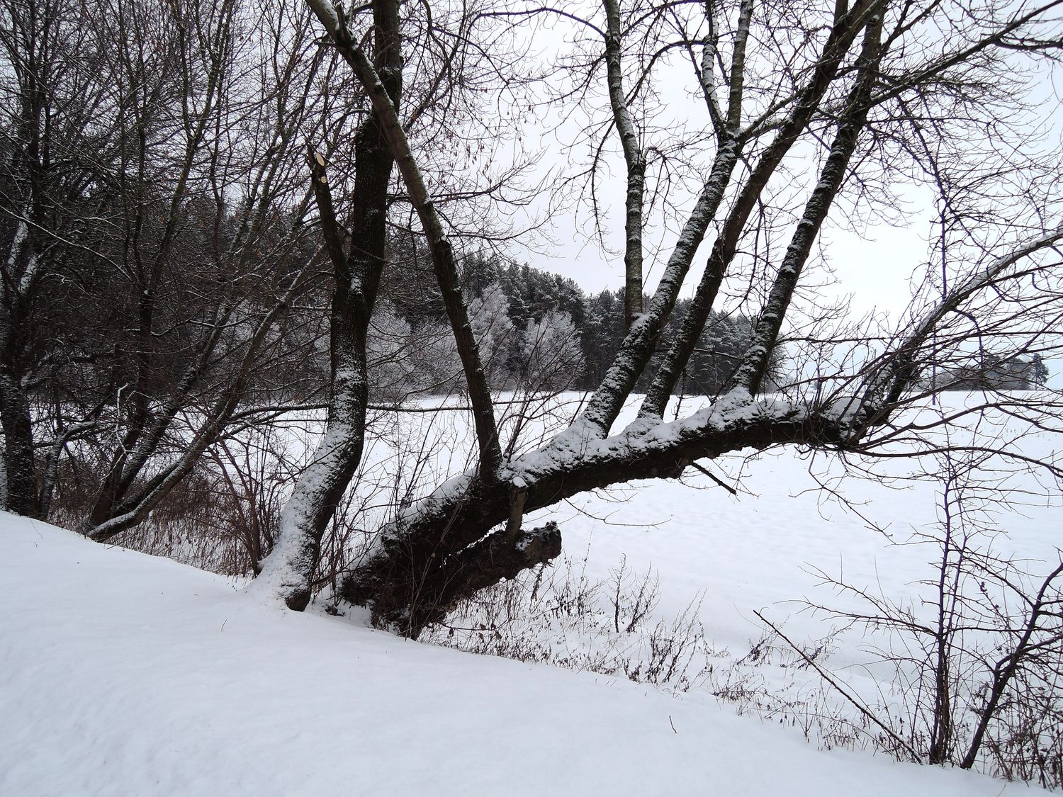 Гродно, изображение ландшафта.