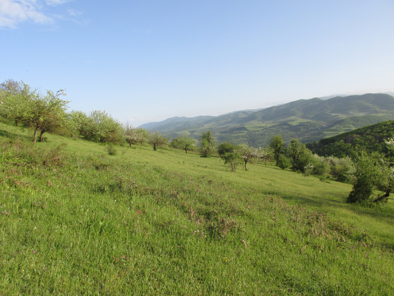 Окрестности села Татиль, изображение ландшафта.