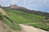 Image of landscape