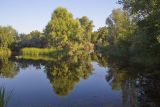 Image of landscape