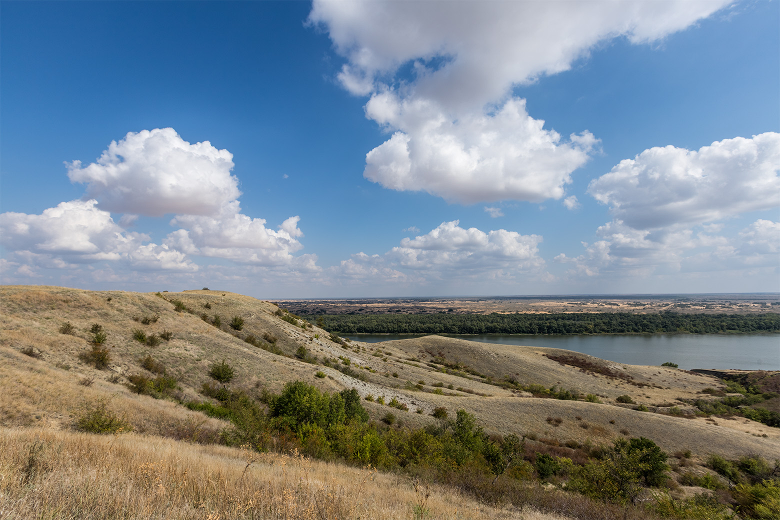 Окрестности станицы Голубинская, image of landscape/habitat.