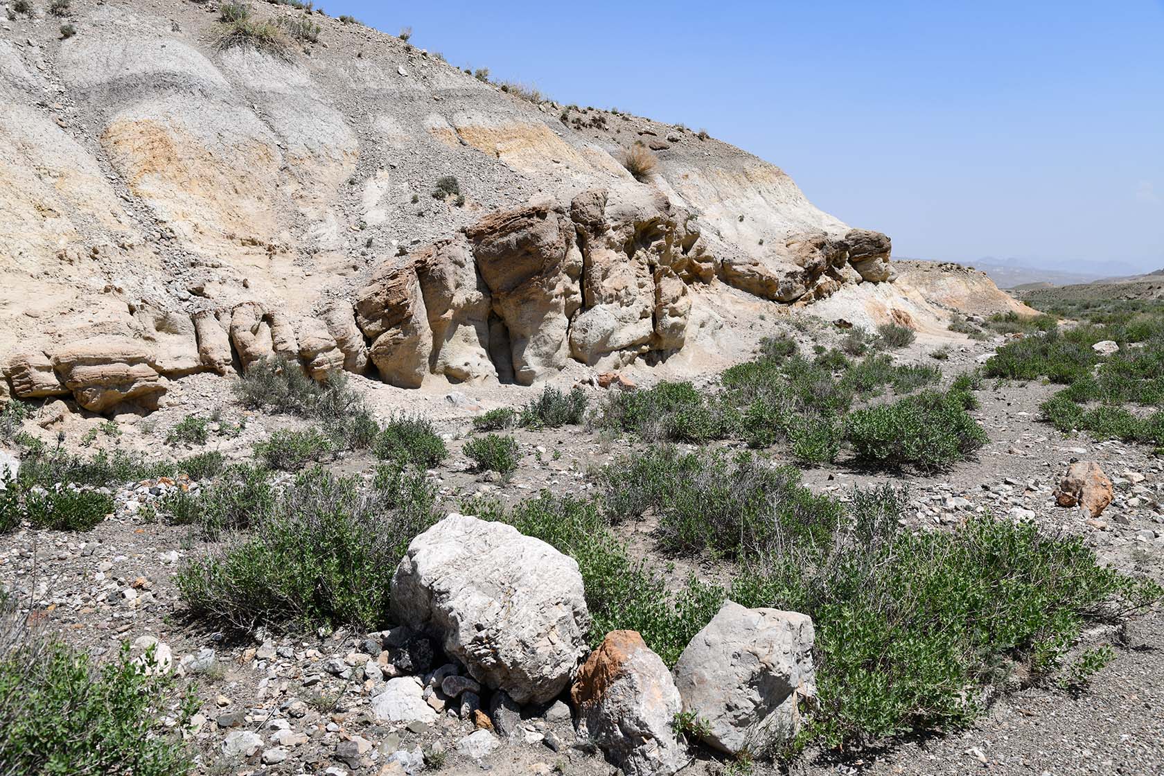 Мадыген, image of landscape/habitat.