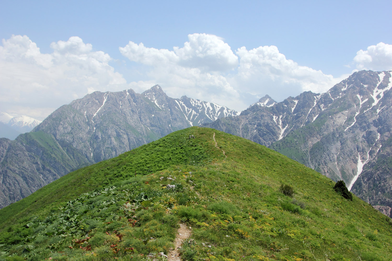 Малый Чимган, image of landscape/habitat.