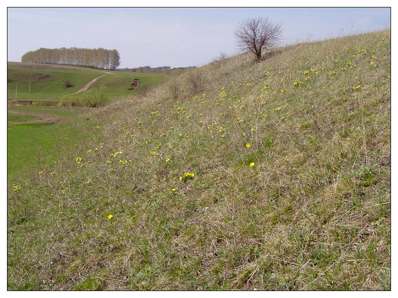 Кликовка, image of landscape/habitat.