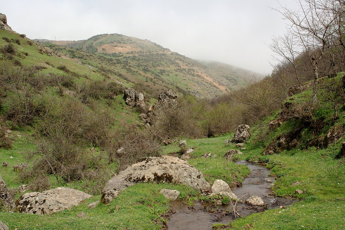 Талышские горы, image of landscape/habitat.