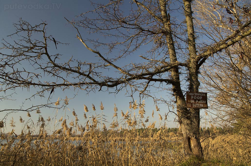 Гулькевичи и окрестности, image of landscape/habitat.